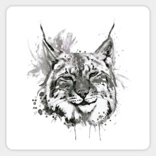 Bobcat Head Black and White Magnet